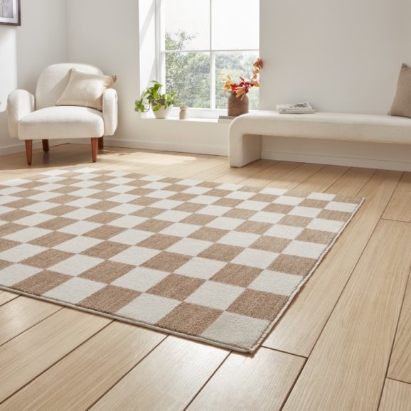 Baltimore 66618 Modern Rug - Beige